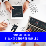 PRINCIPIOS DE FINANZAS EMPRESARIALES